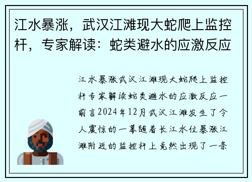 江水暴涨，武汉江滩现大蛇爬上监控杆，专家解读：蛇类避水的应激反应