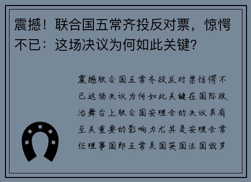 震撼！联合国五常齐投反对票，惊愕不已：这场决议为何如此关键？