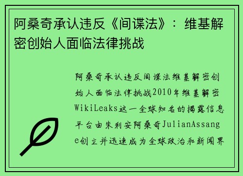 阿桑奇承认违反《间谍法》：维基解密创始人面临法律挑战
