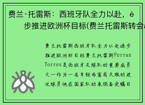 费兰·托雷斯：西班牙队全力以赴，逐步推进欧洲杯目标(费兰托雷斯转会曼城)